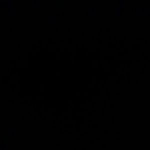 Meet your Posher, Destiny